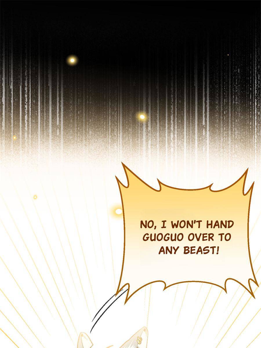 84700501 900 1200 102534